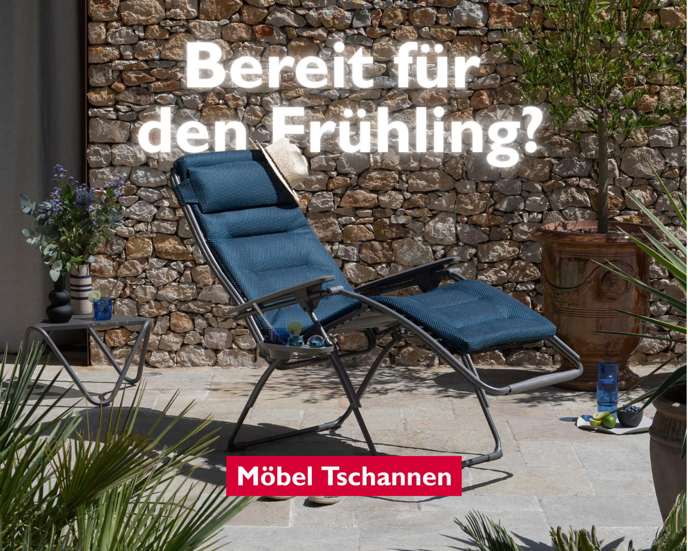 Moebel, Stuhl, Pflanze