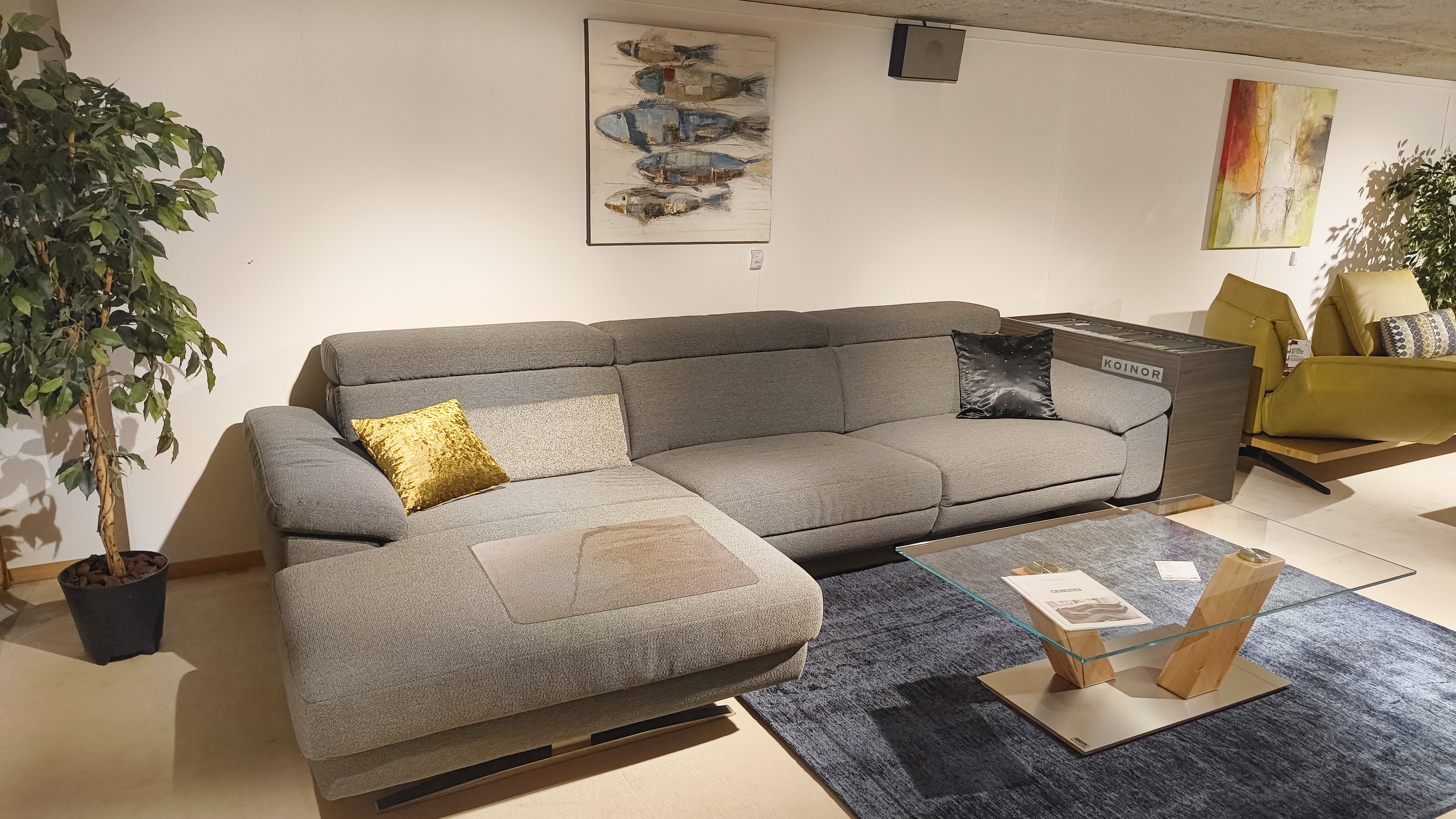Couch, Wohnzimmer, Dekoration Ihres Zuhauses, Tabelle, Pflanze