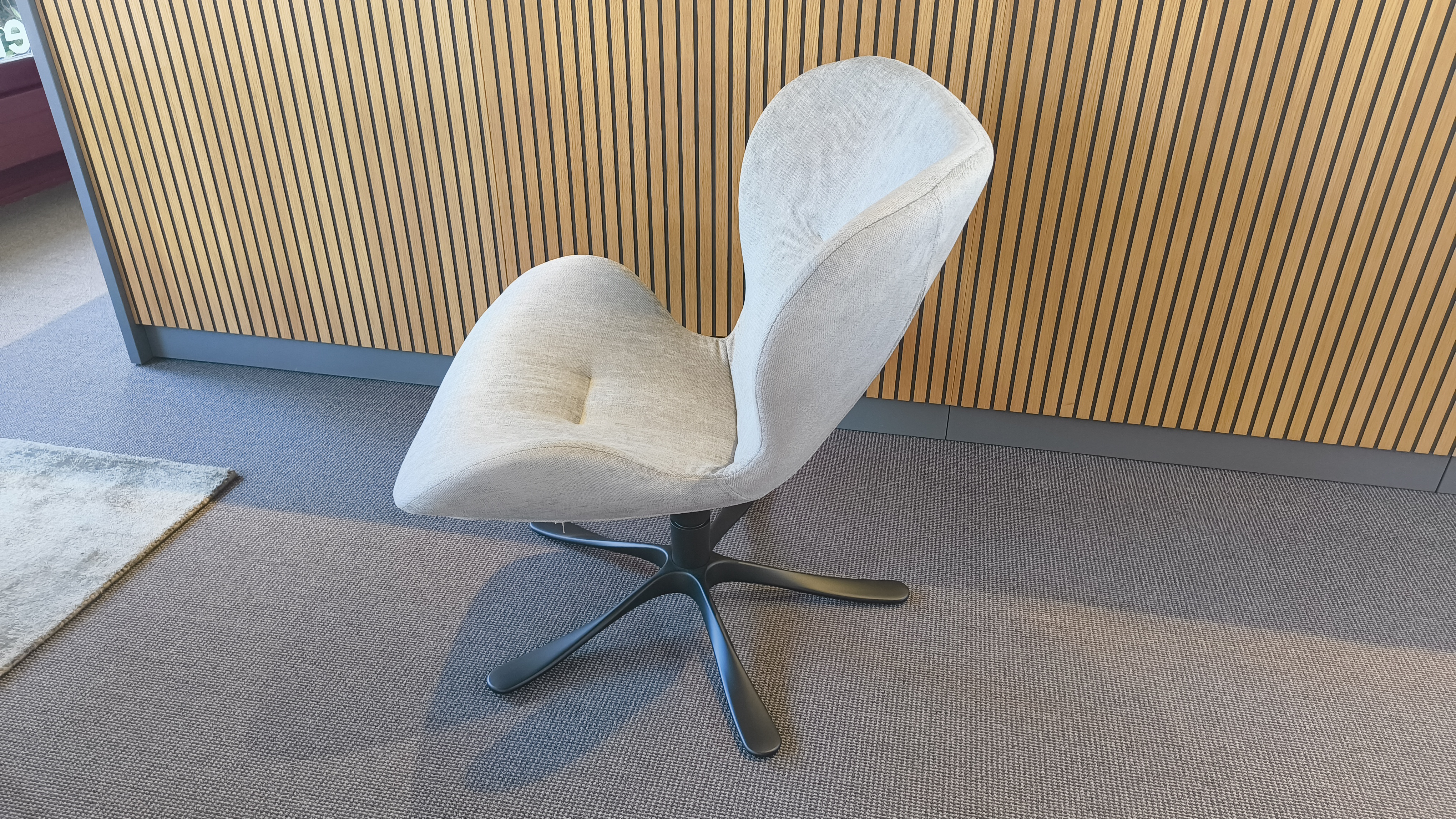 Clubsessel Daisy
